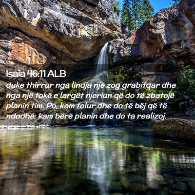 Picture 02 - Isaia 46:11 ALB - duke thirrur nga lindja një zog grabitqar dhe - Bible Verse Picture