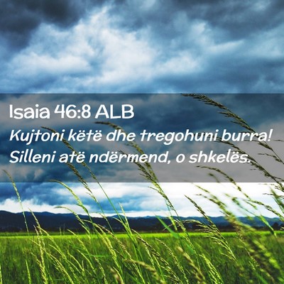 Picture 02 - Isaia 46:8 ALB - Kujtoni këtë dhe tregohuni burra! Silleni atë - Bible Verse Picture