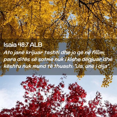 Picture 02 - Isaia 48:7 ALB - Ato janë krijuar tashti dhe jo që në fillim; - Bible Verse Picture