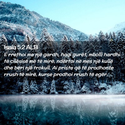 Picture 02 - Isaia 5:2 ALB - E rrethoi me një gardh, hoqi gurët, mbolli - Bible Verse Picture