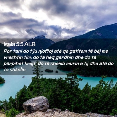 Picture 02 - Isaia 5:5 ALB - Por tani do t’ju njoftoj atë që gatitem të - Bible Verse Picture
