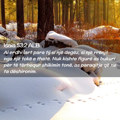 Picture 02 - Isaia 53:2 ALB - Ai erdhi lart para tij si një degëz, si një - Bible Verse Picture