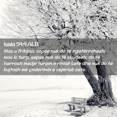 Picture 02 - Isaia 54:4 ALB - Mos u frikëso, sepse nuk do të ngatërrohesh; - Bible Verse Picture