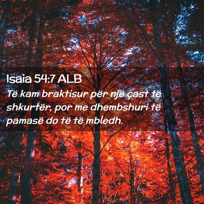 Picture 02 - Isaia 54:7 ALB - Të kam braktisur për një çast të shkurtër, - Bible Verse Picture
