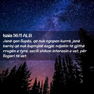 Picture 02 - Isaia 56:11 ALB - Janë qen llupës, që nuk ngopen kurrë, janë - Bible Verse Picture