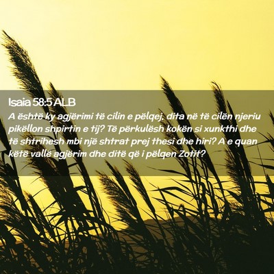 Picture 02 - Isaia 58:5 ALB - A është ky agjërimi të cilin e pëlqej, dita - Bible Verse Picture