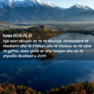 Picture 02 - Isaia 60:6 ALB - Një mori devesh do të të mbulojë, dromedarë - Bible Verse Picture