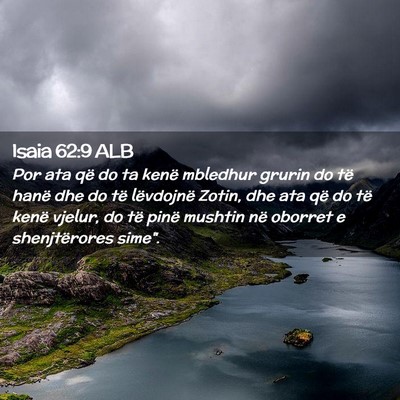 Picture 02 - Isaia 62:9 ALB - Por ata që do ta kenë mbledhur grurin do të - Bible Verse Picture