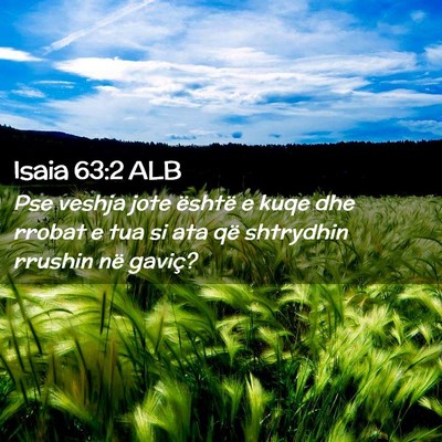 Picture 02 - Isaia 63:2 ALB - Pse veshja jote është e kuqe dhe rrobat e tua - Bible Verse Picture