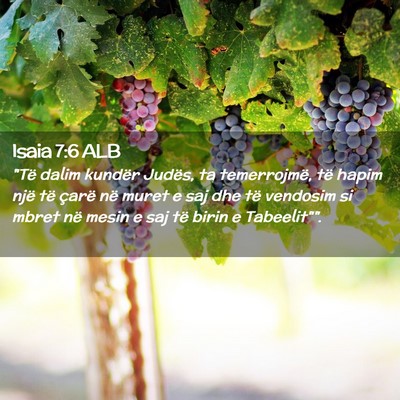 Picture 02 - Isaia 7:6 ALB - 