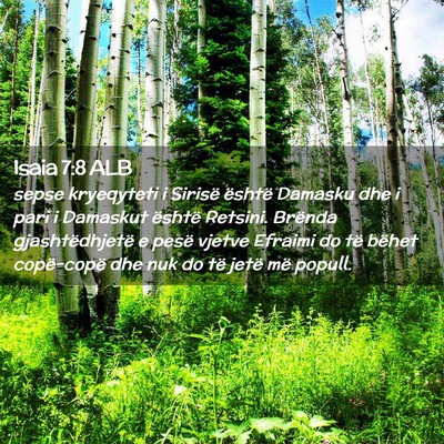 Picture 02 - Isaia 7:8 ALB - sepse kryeqyteti i Sirisë është Damasku dhe i - Bible Verse Picture