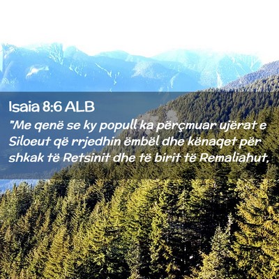 Picture 02 - Isaia 8:6 ALB - 
