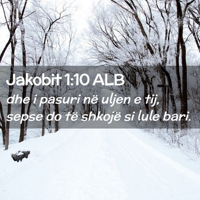 Picture 02 - Jakobit 1:10 ALB - dhe i pasuri në uljen e tij, sepse do të - Bible Verse Picture