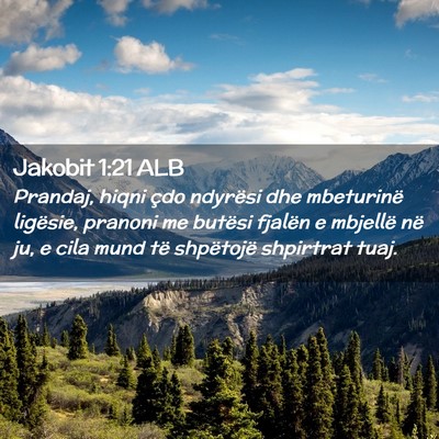 Picture 02 - Jakobit 1:21 ALB - Prandaj, hiqni çdo ndyrësi dhe mbeturinë - Bible Verse Picture