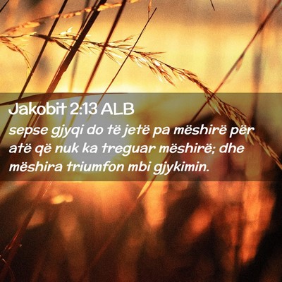 Picture 02 - Jakobit 2:13 ALB - sepse gjyqi do të jetë pa mëshirë për atë - Bible Verse Picture