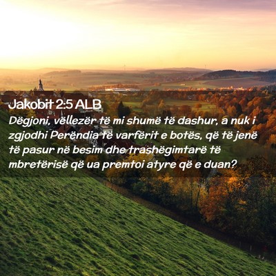 Picture 02 - Jakobit 2:5 ALB - Dëgjoni, vëllezër të mi shumë të dashur, a - Bible Verse Picture