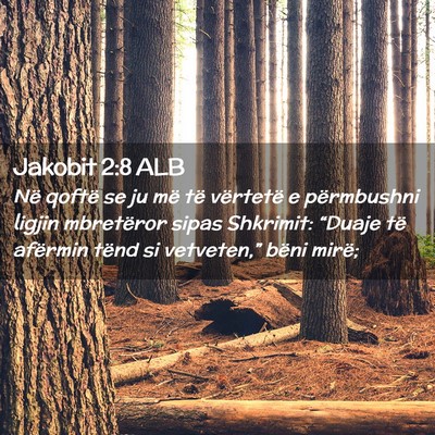 Picture 02 - Jakobit 2:8 ALB - Në qoftë se ju më të vërtetë e përmbushni - Bible Verse Picture