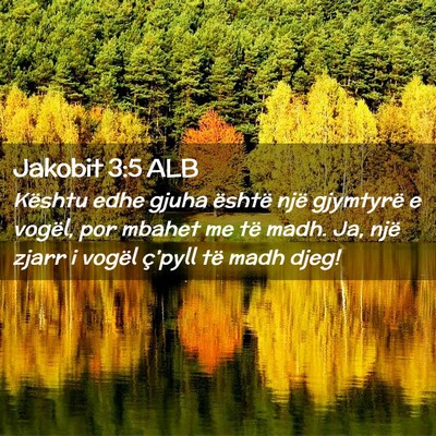 Picture 02 - Jakobit 3:5 ALB - Kështu edhe gjuha është një gjymtyrë e - Bible Verse Picture