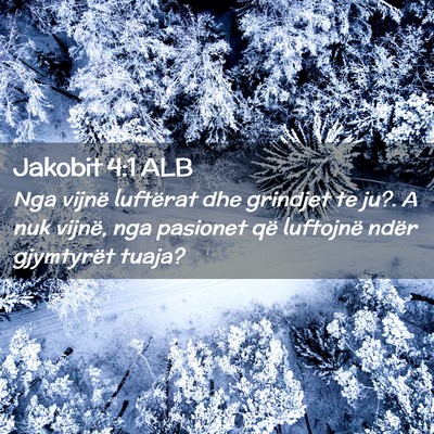 Picture 02 - Jakobit 4:1 ALB - Nga vijnë luftërat dhe grindjet te ju?. A nuk - Bible Verse Picture
