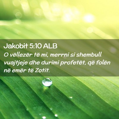 Picture 02 - Jakobit 5:10 ALB - O vëllezër të mi, merrni si shembull vuajtjeje - Bible Verse Picture