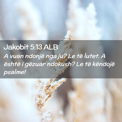 Picture 02 - Jakobit 5:13 ALB - A vuan ndonjë nga ju? Le të lutet. A është i - Bible Verse Picture