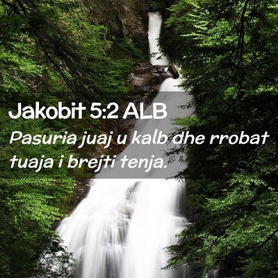 Picture 02 - Jakobit 5:2 ALB - Pasuria juaj u kalb dhe rrobat tuaja i brejti - Bible Verse Picture