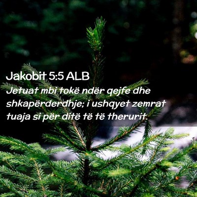Picture 02 - Jakobit 5:5 ALB - Jetuat mbi tokë ndër qejfe dhe shkapërderdhje; - Bible Verse Picture