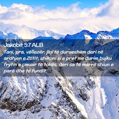 Picture 02 - Jakobit 5:7 ALB - Tani, pra, vëllezër, jini të durueshëm deri - Bible Verse Picture