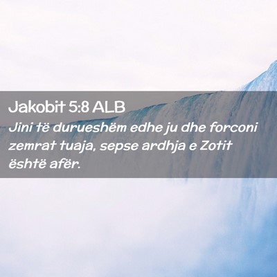 Picture 02 - Jakobit 5:8 ALB - Jini të durueshëm edhe ju dhe forconi zemrat - Bible Verse Picture