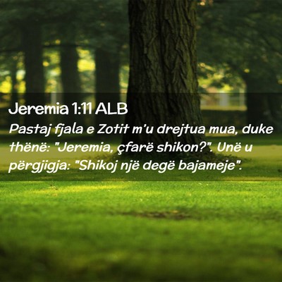 Picture 02 - Jeremia 1:11 ALB - Pastaj fjala e Zotit m’u drejtua mua, duke - Bible Verse Picture