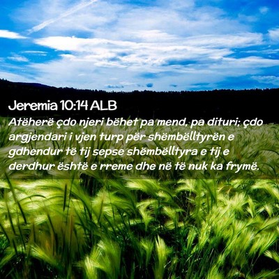 Picture 02 - Jeremia 10:14 ALB - Atëherë çdo njeri bëhet pa mend, pa dituri; - Bible Verse Picture