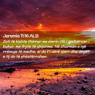Picture 02 - Jeremia 11:16 ALB - Zoti të kishte thirrur me emrin Ulli i - Bible Verse Picture