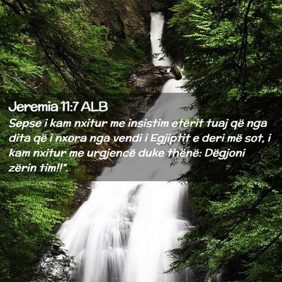 Picture 02 - Jeremia 11:7 ALB - Sepse i kam nxitur me insistim etërit tuaj që - Bible Verse Picture