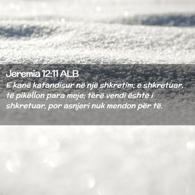 Picture 02 - Jeremia 12:11 ALB - E kanë katandisur në një shkretim; e - Bible Verse Picture