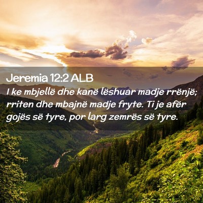 Picture 02 - Jeremia 12:2 ALB - I ke mbjellë dhe kanë lëshuar madje rrënjë; - Bible Verse Picture