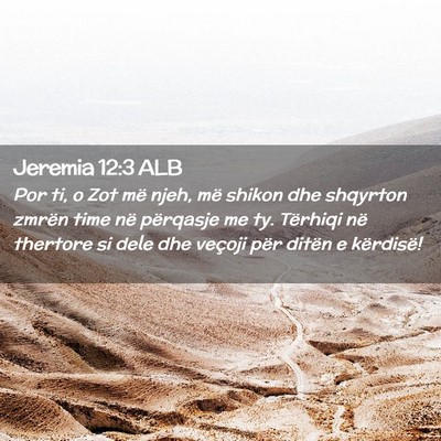 Picture 02 - Jeremia 12:3 ALB - Por ti, o Zot më njeh, më shikon dhe shqyrton - Bible Verse Picture
