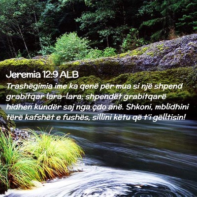 Picture 02 - Jeremia 12:9 ALB - Trashëgimia ime ka qenë për mua si një shpend - Bible Verse Picture