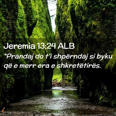 Picture 02 - Jeremia 13:24 ALB - 