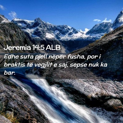 Picture 02 - Jeremia 14:5 ALB - Edhe suta pjell nëpër fusha, por i braktis të - Bible Verse Picture