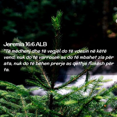 Picture 02 - Jeremia 16:6 ALB - 