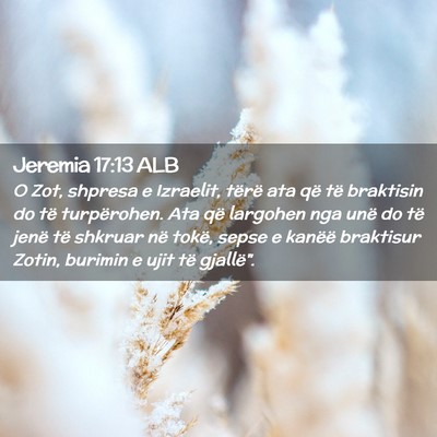 Picture 02 - Jeremia 17:13 ALB - O Zot, shpresa e Izraelit, tërë ata që të - Bible Verse Picture