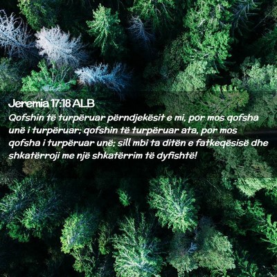 Picture 02 - Jeremia 17:18 ALB - Qofshin të turpëruar përndjekësit e mi, por - Bible Verse Picture