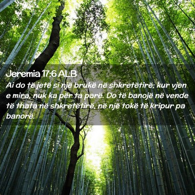 Picture 02 - Jeremia 17:6 ALB - Ai do të jetë si një brukë në shkretëtirë; - Bible Verse Picture