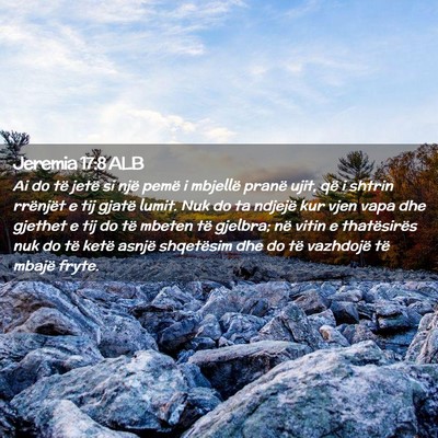 Picture 02 - Jeremia 17:8 ALB - Ai do të jetë si një pemë i mbjellë pranë - Bible Verse Picture