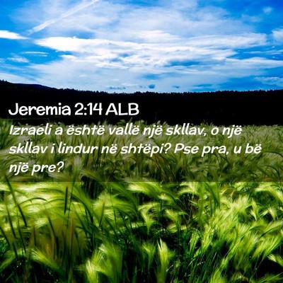 Picture 02 - Jeremia 2:14 ALB - Izraeli a është vallë një skllav, o një - Bible Verse Picture