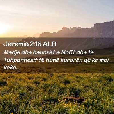 Picture 02 - Jeremia 2:16 ALB - Madje dhe banorët e Nofit dhe të Tahpanhesit - Bible Verse Picture