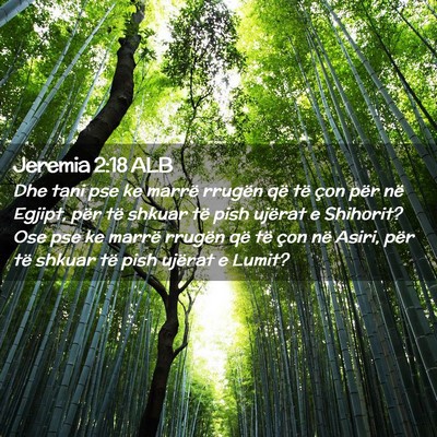 Picture 02 - Jeremia 2:18 ALB - Dhe tani pse ke marrë rrugën që të çon për - Bible Verse Picture