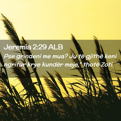 Picture 02 - Jeremia 2:29 ALB - Pse grindeni me mua? Ju të gjithë keni ngritur - Bible Verse Picture