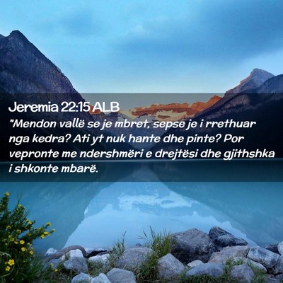 Picture 02 - Jeremia 22:15 ALB - 