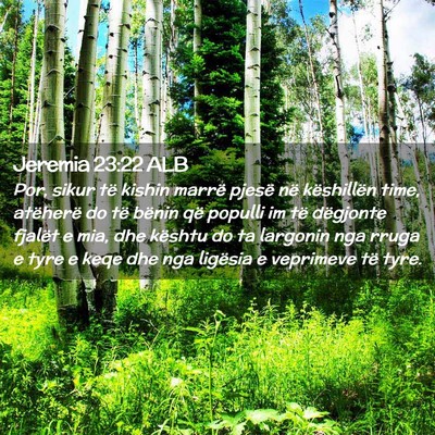Picture 02 - Jeremia 23:22 ALB - Por, sikur të kishin marrë pjesë në - Bible Verse Picture